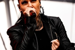 DSC06529