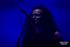 DSC06954